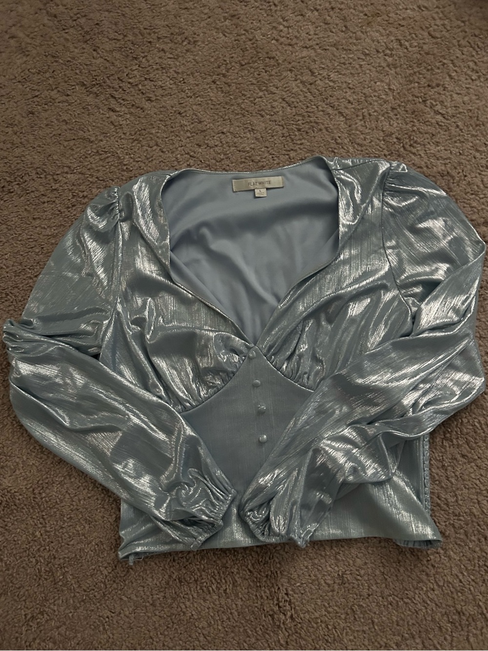 Anthropologie Metallic Top